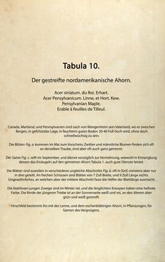 Bild der Seite - (00000052) - in Österreichs allgemeine Baumzucht - Abbildungen in- und ausländischer Bäume und Sträucher, deren Anpflanzung in Österreich möglich und nützlich ist