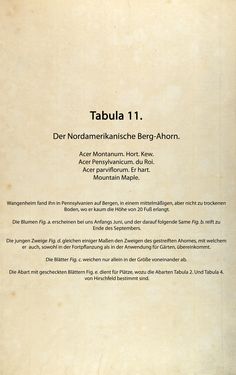 Bild der Seite - (00000054) - in Österreichs allgemeine Baumzucht - Abbildungen in- und ausländischer Bäume und Sträucher, deren Anpflanzung in Österreich möglich und nützlich ist