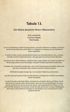 Bild der Seite - (00000058) - in Österreichs allgemeine Baumzucht - Abbildungen in- und ausländischer Bäume und Sträucher, deren Anpflanzung in Österreich möglich und nützlich ist
