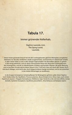 Bild der Seite - (00000066) - in Österreichs allgemeine Baumzucht - Abbildungen in- und ausländischer Bäume und Sträucher, deren Anpflanzung in Österreich möglich und nützlich ist