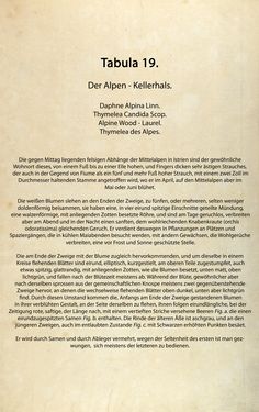 Bild der Seite - (00000070) - in Österreichs allgemeine Baumzucht - Abbildungen in- und ausländischer Bäume und Sträucher, deren Anpflanzung in Österreich möglich und nützlich ist