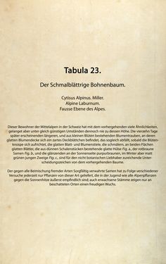 Bild der Seite - (00000078) - in Österreichs allgemeine Baumzucht - Abbildungen in- und ausländischer Bäume und Sträucher, deren Anpflanzung in Österreich möglich und nützlich ist