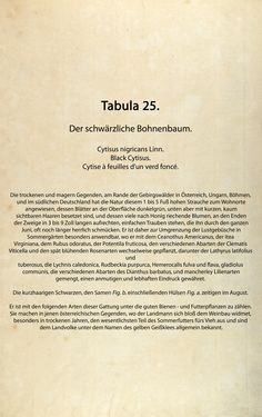 Bild der Seite - (00000082) - in Österreichs allgemeine Baumzucht - Abbildungen in- und ausländischer Bäume und Sträucher, deren Anpflanzung in Österreich möglich und nützlich ist