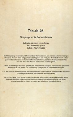 Bild der Seite - (00000084) - in Österreichs allgemeine Baumzucht - Abbildungen in- und ausländischer Bäume und Sträucher, deren Anpflanzung in Österreich möglich und nützlich ist