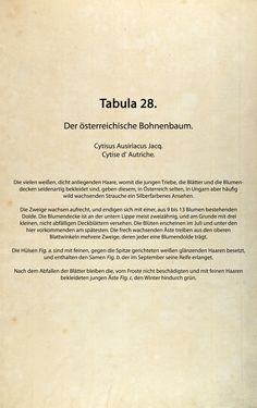 Bild der Seite - (00000088) - in Österreichs allgemeine Baumzucht - Abbildungen in- und ausländischer Bäume und Sträucher, deren Anpflanzung in Österreich möglich und nützlich ist