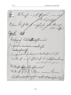 Image of the Page - 300 - in Paracelsus - Historisch-kritische Ausgabe