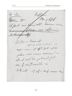 Bild der Seite - 304 - in Paracelsus - Historisch-kritische Ausgabe