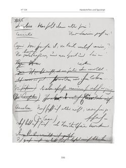 Bild der Seite - 306 - in Paracelsus - Historisch-kritische Ausgabe