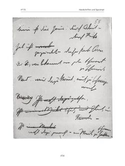 Bild der Seite - 456 - in Paracelsus - Historisch-kritische Ausgabe