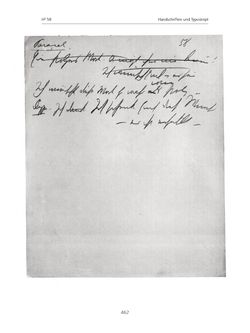 Image of the Page - 462 - in Paracelsus - Historisch-kritische Ausgabe