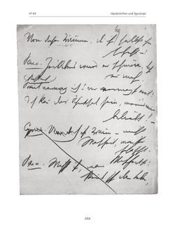 Image of the Page - 484 - in Paracelsus - Historisch-kritische Ausgabe