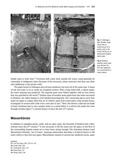 Bild der Seite - 221 - in The Power of Urban Water - Studies in premodern urbanism