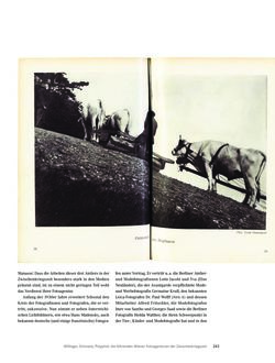 Image of the Page - 243 - in Rasende Reporter: Eine Kulturgeschichte des Fotojournalismus. - Fotografie, Presse und Gesellschaft in Österreich 1890 bis 1945