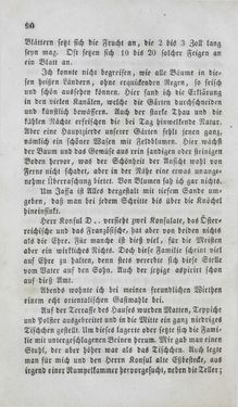 Image of the Page - 90 - in Reise einer Wienerin in das heilige Land