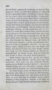 Bild der Seite - 110 - in Reise einer Wienerin in das heilige Land