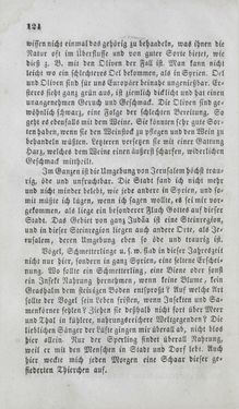 Bild der Seite - 124 - in Reise einer Wienerin in das heilige Land