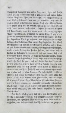 Bild der Seite - 134 - in Reise einer Wienerin in das heilige Land