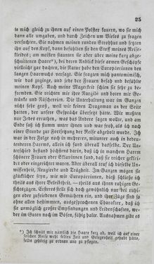 Bild der Seite - 25 - in Reise einer Wienerin in das heilige Land