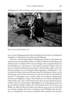 Bild der Seite - 307 - in Schlachtfelder - Alltägliches Wirtschaften in der nationalsozialistischen Agrargesellschaft 1938–1945