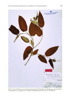 Bild der Seite - 53 - in Schöne Wissenschaften - Sammeln, Ordnen und Präsentieren im josephinischen Wien