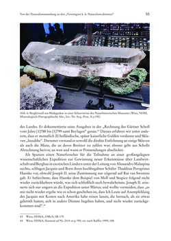 Bild der Seite - 55 - in Schöne Wissenschaften - Sammeln, Ordnen und Präsentieren im josephinischen Wien