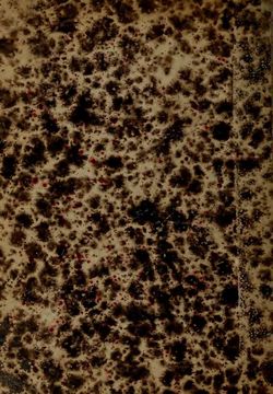 Image of the Page - Titelblatt hinten - in Sinnbilder - Devises et Emblemes