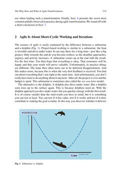 Image of the Page - 219 - in The Future of Software Quality Assurance