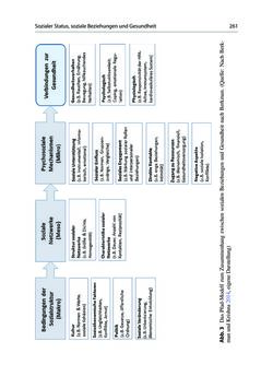 Image of the Page - 261 - in Soziale Netzwerke und gesundheitliche Ungleichheiten - Eine neue Perspektive für die Forschung