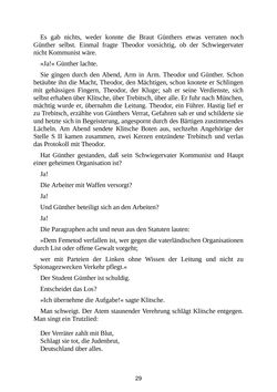 Image of the Page - 29 - in Das Spinnennetz