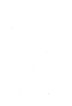 Image of the Page - (000105) - in Österreichs Staatsidee