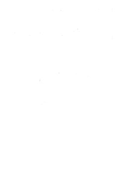 Image of the Page - (000106) - in Österreichs Staatsidee