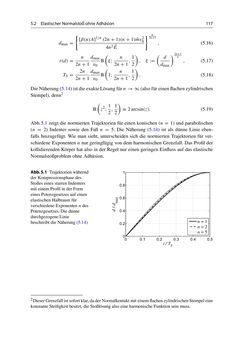 Bild der Seite - 117 - in Stoßprobleme in Physik, Technik und Medizin - Grundlagen und Anwendungen