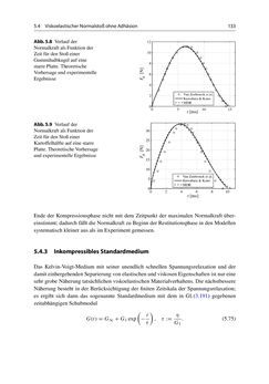 Bild der Seite - 133 - in Stoßprobleme in Physik, Technik und Medizin - Grundlagen und Anwendungen