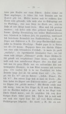 Image of the Page - 28 - in Tiroler Volkstypen - Beiträge zur Geschichte der Sitten und Kleinindustrie in den Alpen