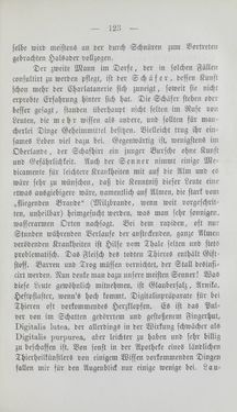 Bild der Seite - 123 - in Tiroler Volkstypen - Beiträge zur Geschichte der Sitten und Kleinindustrie in den Alpen