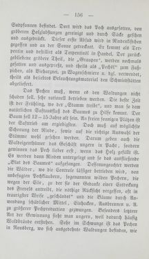 Bild der Seite - 156 - in Tiroler Volkstypen - Beiträge zur Geschichte der Sitten und Kleinindustrie in den Alpen