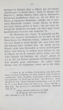 Bild der Seite - 157 - in Tiroler Volkstypen - Beiträge zur Geschichte der Sitten und Kleinindustrie in den Alpen