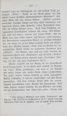 Bild der Seite - 243 - in Tiroler Volkstypen - Beiträge zur Geschichte der Sitten und Kleinindustrie in den Alpen