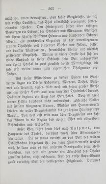 Bild der Seite - 263 - in Tiroler Volkstypen - Beiträge zur Geschichte der Sitten und Kleinindustrie in den Alpen