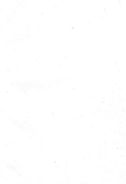 Bild der Seite - (000127) - in Topographia Archiducatus Austriæ Inf. Modernæ - Das Viertel ob Mannshartsberg. Das Viertel unter Mannhartsberg.