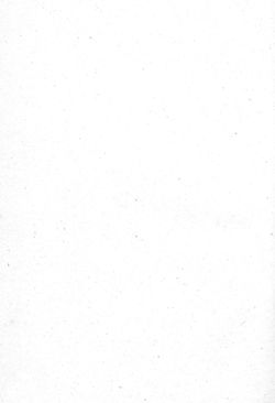 Bild der Seite - (000128) - in Topographia Archiducatus Austriæ Inf. Modernæ - Das Viertel ob Mannshartsberg. Das Viertel unter Mannhartsberg.