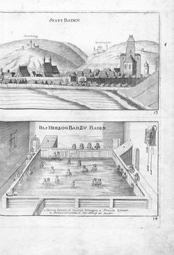 Image of the Page - (000018) - in Topographia Archiducatus Austriæ Inf. Modernæ - Das Viertel unter Wienerwaldt. Das Viertl ob Wienerwaldt.