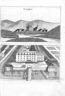 Image of the Page - (000028) - in Topographia Archiducatus Austriæ Inf. Modernæ - Das Viertel unter Wienerwaldt. Das Viertl ob Wienerwaldt.