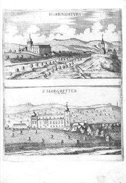 Image of the Page - (000034) - in Topographia Archiducatus Austriæ Inf. Modernæ - Das Viertel unter Wienerwaldt. Das Viertl ob Wienerwaldt.