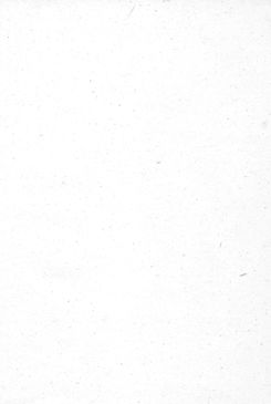 Image of the Page - (000148) - in Topographia Archiducatus Austriæ Inf. Modernæ - Das Viertel unter Wienerwaldt. Das Viertl ob Wienerwaldt.