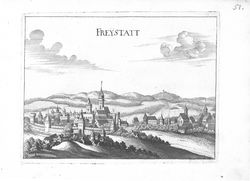 Image of the Page - 51 - in Topographia Austriae Superioris Modernae