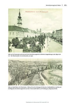 Image of the Page - 251 - in Transformationen städtischer Umwelt - Das Beispiel Linz, 1700 bis 1900