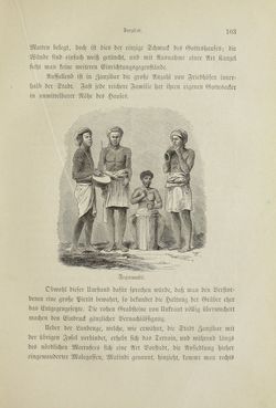 Image of the Page - 103 - in Um Afrika - Skizzen von der Reise Sr. Majestät Corvette Helgoland in den Jahren 1873-75