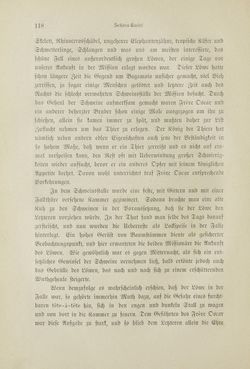 Bild der Seite - 118 - in Um Afrika - Skizzen von der Reise Sr. Majestät Corvette Helgoland in den Jahren 1873-75