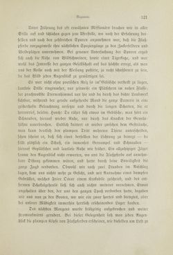 Bild der Seite - 121 - in Um Afrika - Skizzen von der Reise Sr. Majestät Corvette Helgoland in den Jahren 1873-75